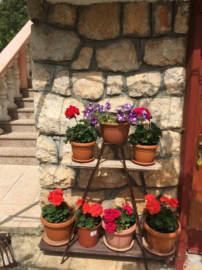 Apartment Ante And Dijana Starigrad Paklenica Bagian luar foto